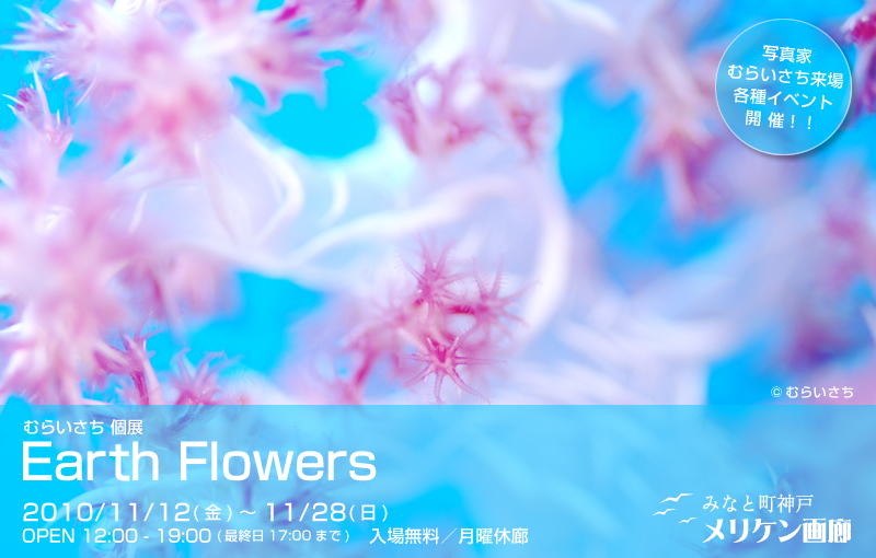 ނ炢W Earth Flowers
in ݂Ȃƒ_ PL